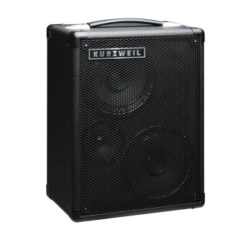 KURZWEIL KURZWEIL