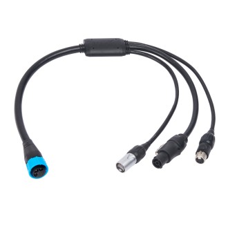 MARTIN HARMAN MARTIN HARMAN